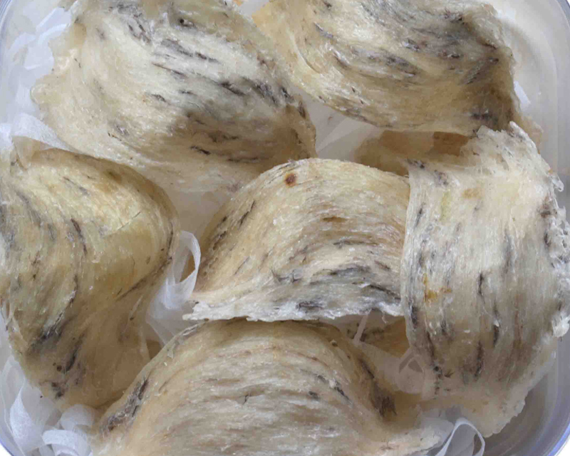 1kg tổ yến sào giá bao nhiêu tiền?