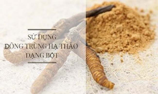 Đông trùng hạ thảo nên uống như thế nào?