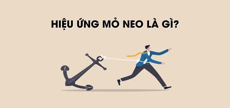 Hiệu ứng mỏ neo là gì? Cách ứng dụng trong kinh doanh và marketing