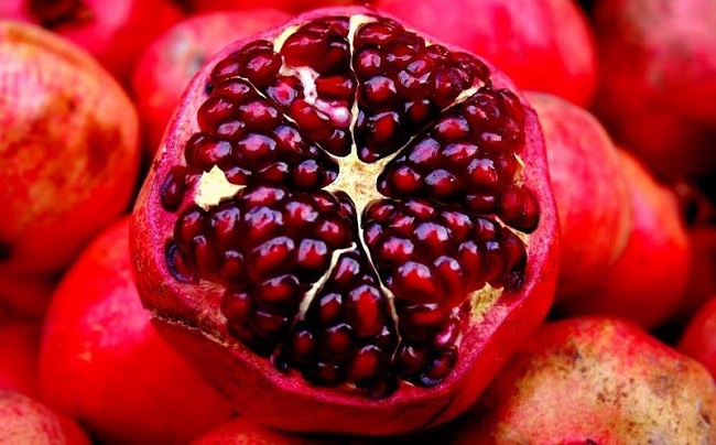 Sốt xuất huyết ăn được hoa quả gì?