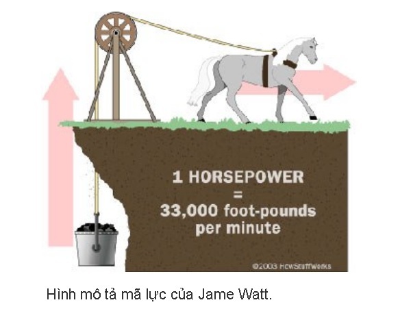 Mã lực của các loại xe là gì?