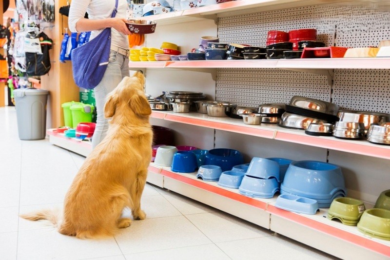 Một số ý tưởng kinh doanh độc đáo Một số ý tưởng kinh doanh độc đáo