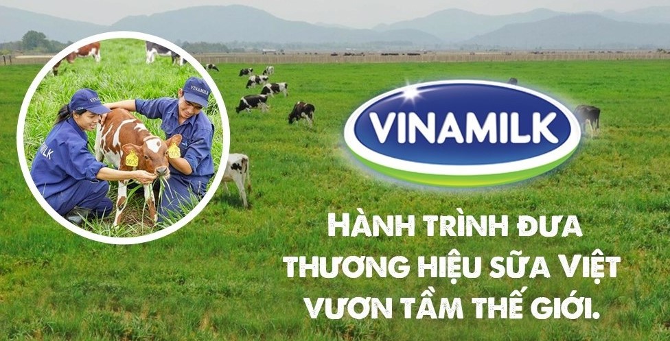 Phân tích thị trường Vinamilk