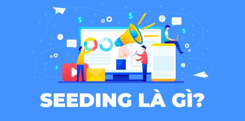 Seeding là gì? Cách chạy seeding tạo hiệu ứng lan truyền