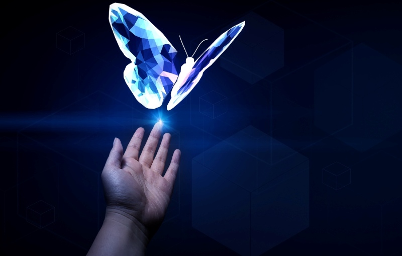Ví dụ về hiệu ứng cánh bướm